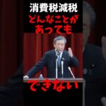 自民・森山幹事長「消費税を下げる公約は、どんなことがあってもできない」　夏の参院選公約めぐり　#ニュース #ゆっくり解説 #政治 #税金  #選挙 #国民民主党 #切り抜き