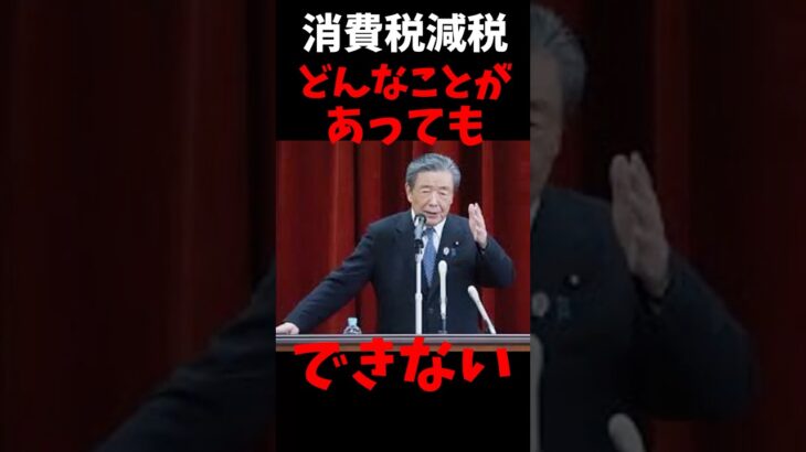 自民・森山幹事長「消費税を下げる公約は、どんなことがあってもできない」　夏の参院選公約めぐり　#ニュース #ゆっくり解説 #政治 #税金  #選挙 #国民民主党 #切り抜き