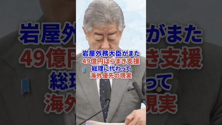 岩屋外務大臣がまた海外へバラマキ #時事 #自民党 #税金 #増税