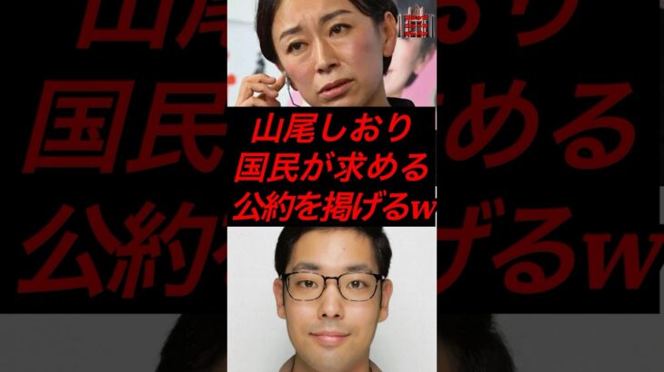 山尾しおり、国民が求める公約を掲げるw #税金 #政治 #国民民主党 #山尾志桜里