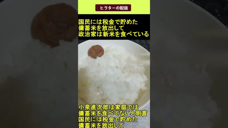 小泉進次郎は 国民には税金で貯めた備蓄米を放出して自分は新米を食べている 2025.07.06 ヒラターの配信 ショート #shorts