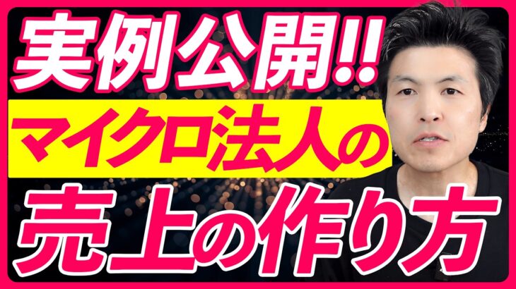 【実例公開】マイクロ法人と個人事業の売上を上手に分ける方法を教えます！！3本の実例を公開