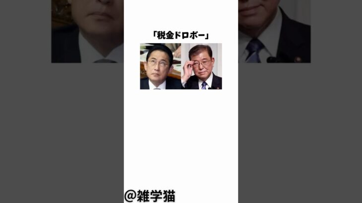 「税金ドロボー」仕事ゼロで給料ゲット？絶対に落としたい幽霊議員3選に関する雑学#shorts #雑学 #自民党 #立憲民主党 #石破茂