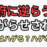前澤友作　金持ちから税金取ればいい嫌なら日本から出ていけ　その翌週　国税から4億申告漏れ指摘される。生卵は良いのか悪いのか