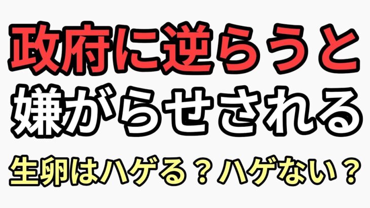 前澤友作　金持ちから税金取ればいい嫌なら日本から出ていけ　その翌週　国税から4億申告漏れ指摘される。生卵は良いのか悪いのか