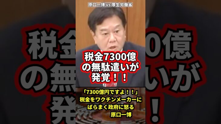税金7300億円の無駄遣いが発覚！取り返して下さい！#政治 #国会中継 #石破茂 #立憲民主党 #原口一博