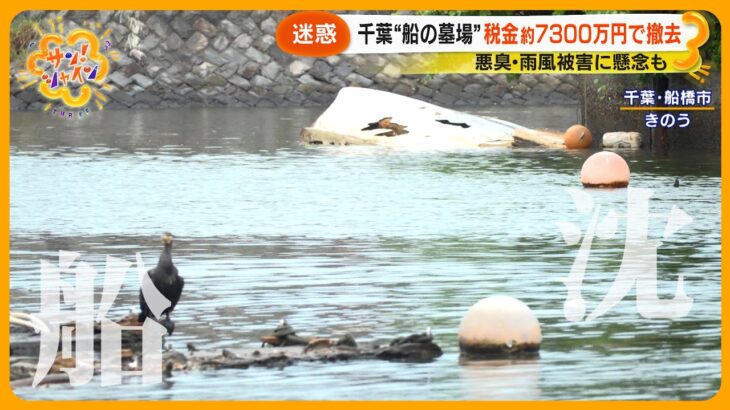 【迷惑】千葉・船橋 “船の墓場” 税金約7300万円で撤去始まる かつて杭を立てた人物を取材【サン！シャインニュース】