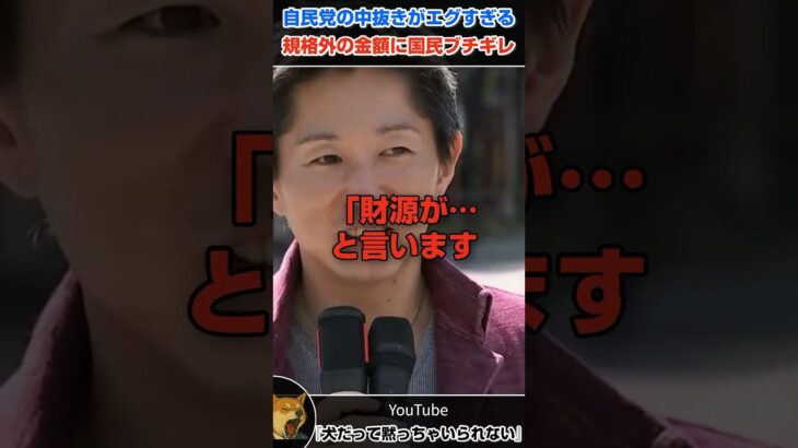 【拡散希望】自民党潰したい人だけ見て下さい！税金97%中抜き！これが自民党のやり方か  #財務省解体デモ