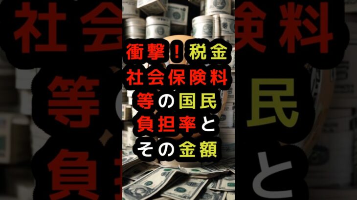 [雑学]　衝撃！税金・社会保険料等の国民負担率とその金額　[AI] #雑学 #アニメ #ずんだもん