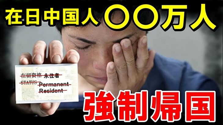 【海外の反応】日本在住の税金未納中国人〇〇万人に帰国命令！中国人「ヤダ！帰らん！！」【世界のJAPAN】