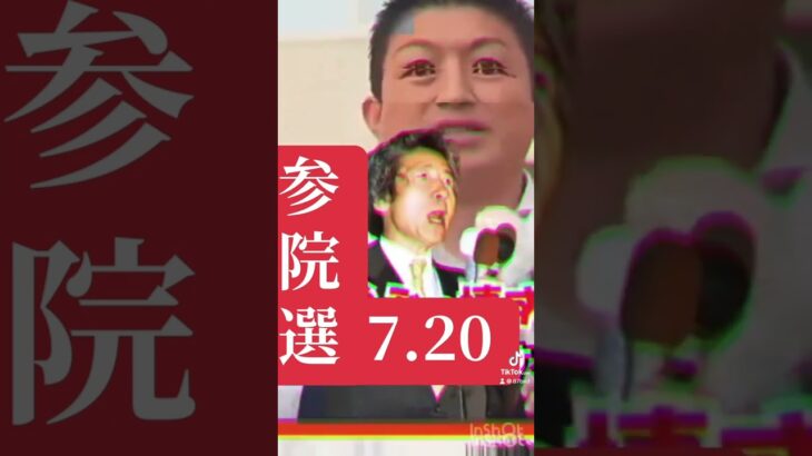 ナニカガオカシイ #税金 #名言 #所得税 #売国政権 #日本 #選挙 #映画 #アート #anime #ねこ #あつ森  #さくら #たまごっち #社会人 #アイドル #老後 #夫婦 #相続