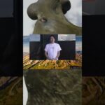 驚愕！税金から家族を守る方法！ #生前贈与 #遺産分割 fnl