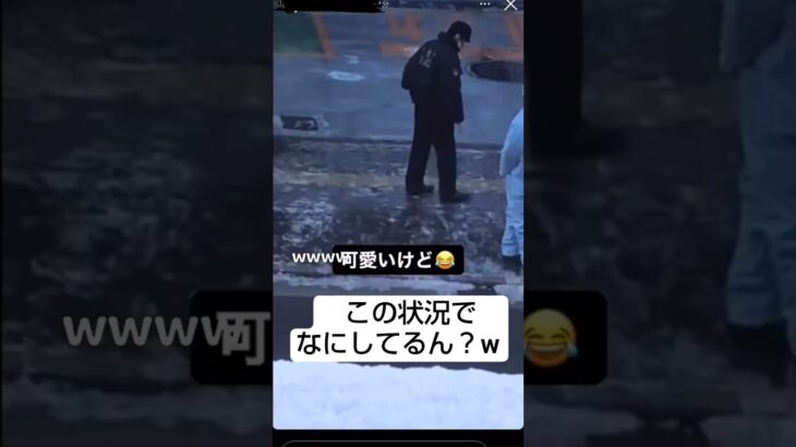 草　#shorts #警察 #税金 #おもしろ #公務員