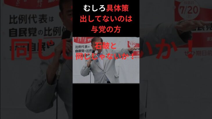 #石破#街頭演説#応援#ブーメラン#所得#税金#公約#ルール#減税#増税#無能#政治#参議院#選挙#shorts#ニュース #政府#自民党