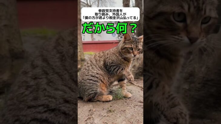 【だから？】外国人男性｢僕の方がせいきん税金払ってる｣ #shorts