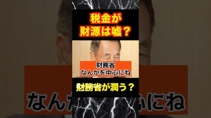 【石破政権】田母神俊雄！税金は財源ではない？税金で潤うのは財務省？#shotrs #おすすめ #自民党