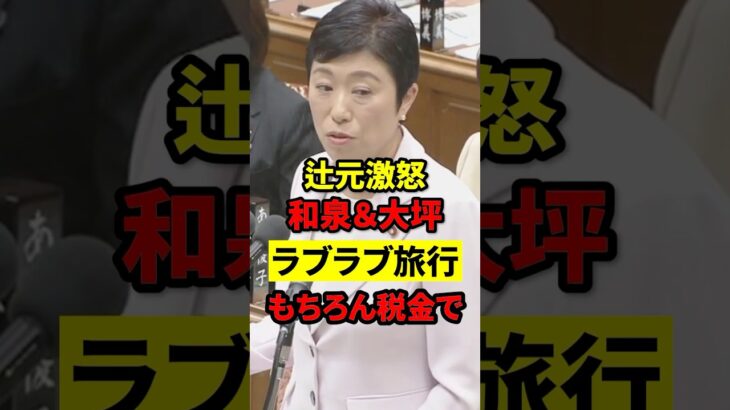 【辻元清美】「税金ラブラブ旅行」疑惑に沈黙の安倍政権…コネクティングルーム出張とは #政治 #国会中継 #もう国民は黙っていない