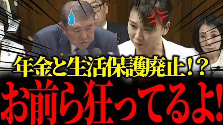 【石破暴走】年金と生活保護が税金の無駄だといって廃止するそうです。さすがに伊藤もブチギレ！【国会/自民党/伊藤議員/岩屋外務大臣/外務省/石破茂/政治】