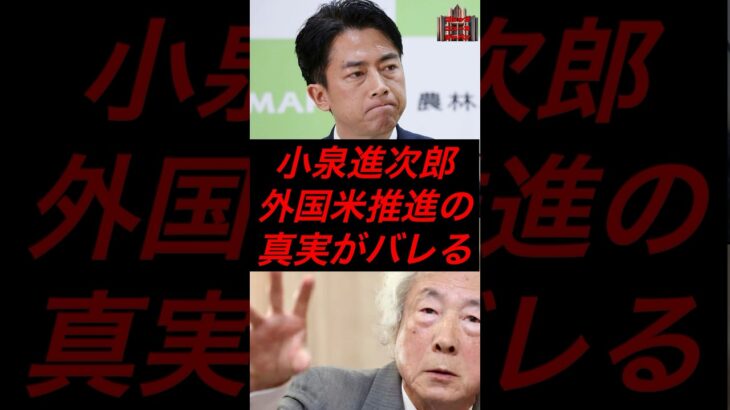 小泉進次郎、外国米推進の真実がバレる　#政治 #税金 #自民党 #石破 #小泉進次郎 #備蓄米