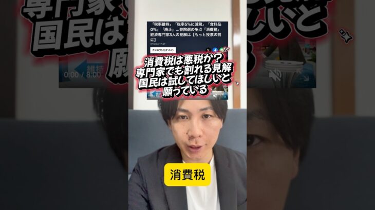 消費税は悪税か？