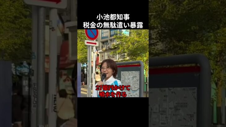 小池百合子の税金無駄づかいを暴露!開示請求で明かされたヤバすぎる補助金先【さとうさおり/小池都知事/減税】