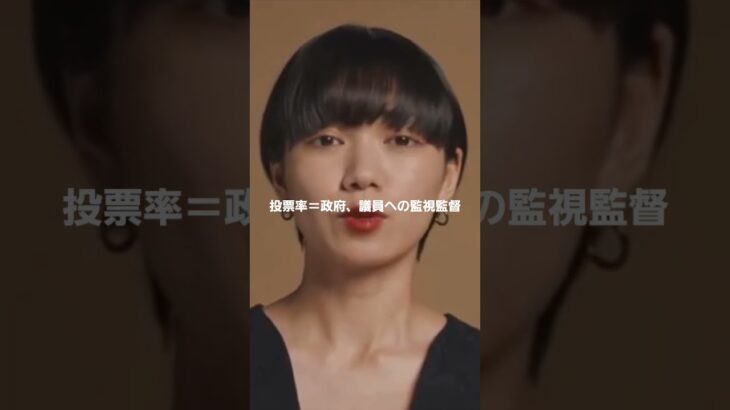 投票率＝政府、議員への監督監視。#選挙#税金#社会保険料#所得税#実質賃金#投票は責務#再エネ賦課金#森林環境税#無償化＝税金化