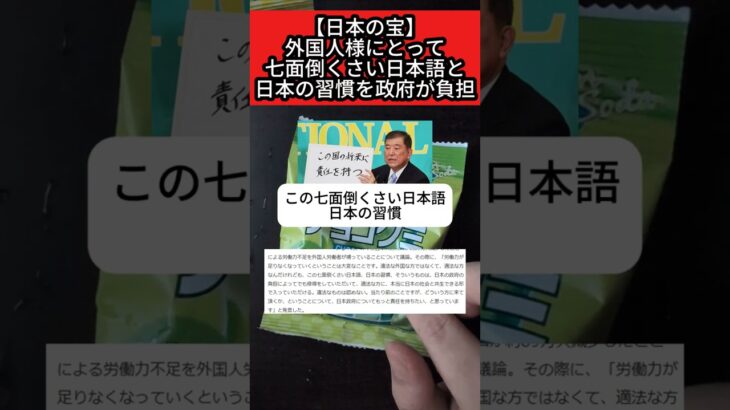【外国人様を税金でサポート】 七面倒くさい日本語日本の習慣を政府が負担していくと石破首相が発言