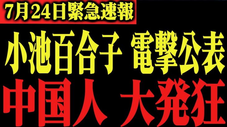 【さとうさおり】※開示請求で”税金の闇”が判明…小池百合子の正体がついに暴かれる