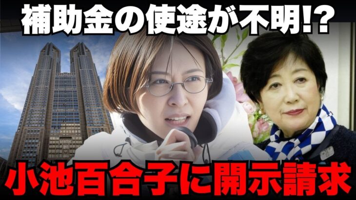 小池百合子が税金を無駄遣い！？さとうさおりが開示請求【さとうさおり 減税 小池百合子 補助金 開示請求】