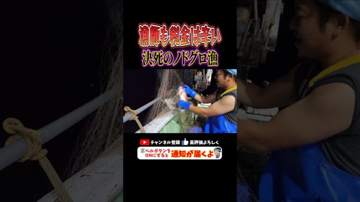 税金ノドグロ！コロナに地震乗り越えたのに… #税金 #漁師の日常 #のどぐろ