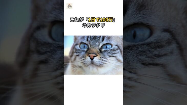 【税金】文通費って…こんな仕組みなの!?