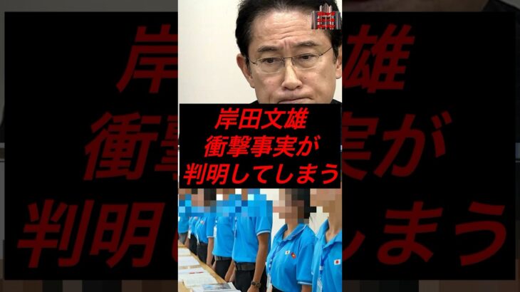 岸田文雄、衝撃的事実が判明してしまう #政治 #税金 #自民党 #石破 #岸田文雄 #技能実習生