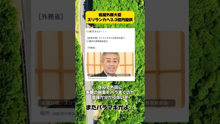どんだけ税金の無駄遣いをするんだよ！ #岩屋外務大臣 #自民党 #政治