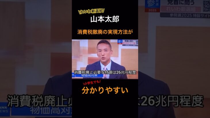 山本太郎　消費税撤廃のやり方