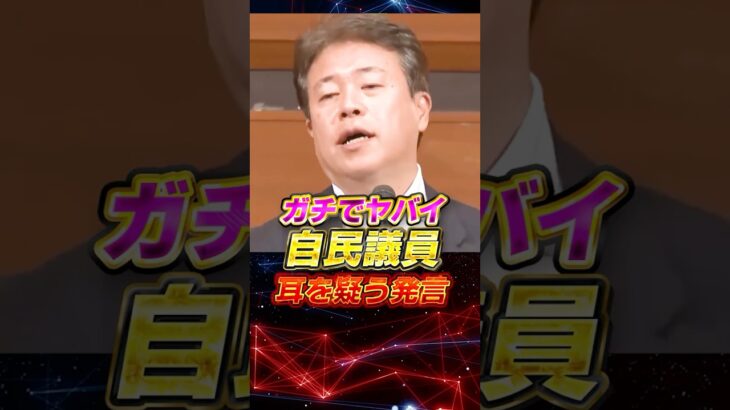 【自民議員】ガチでヤバイ 耳を疑う発言!!　#石破茂 #政治 #ニュース #税金 #参政党