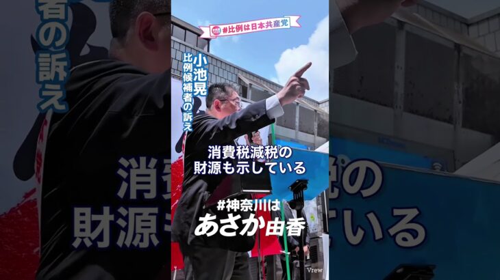 大金持ち優遇やめれば消費税減税の財源でてくる！#参院選 #小池晃 #日本共産党 #あさか由香