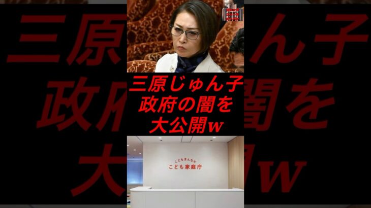 三原じゅん子、政府の闇を大公開w #政治 #税金 #自民党 #石破 #三原じゅん子