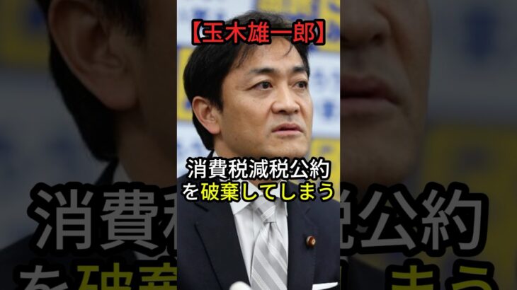 【炎上】玉木雄一郎、消費税減税公約を破棄してしまうwww