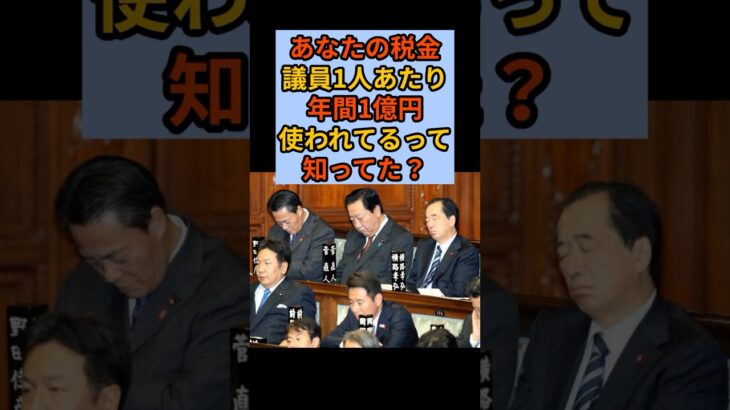 議員1人に1億円も税金が使われてるって本当？