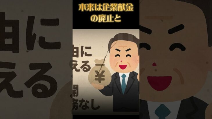 【衝撃】政党助成金の実態…税金300億円が毎年ドブに消える！？これが“身を切らない改革”の正体！