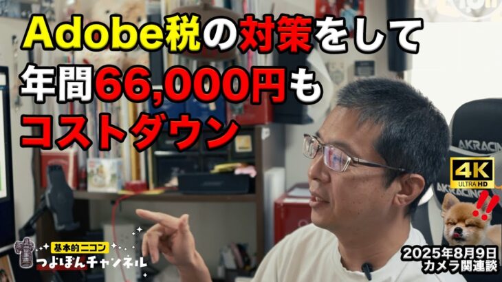 Adobe税に逆らう！プラン見直しで年間66,000円コストダウンした話
