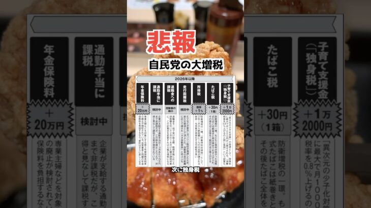 どこまで税金上がると思う？ #news #石破 #石破首相 #日本人ファースト #出馬 #参議院 #参政党 #自民党 #国民民主党 #れいわ新選組 #税金 #独身税 #増税 #トランプ #選挙
