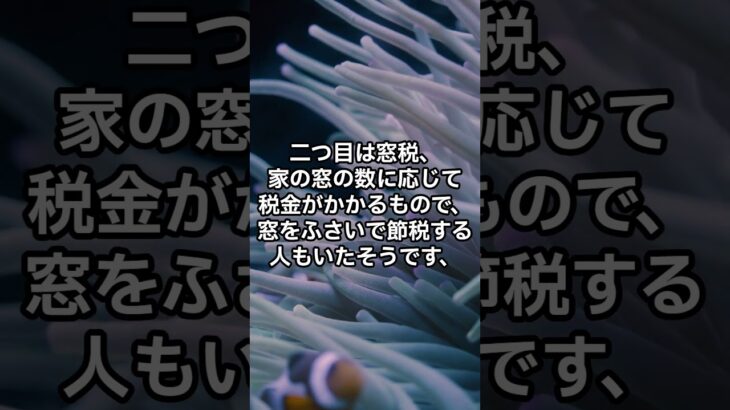江戸時代のびっくり税金３選【歴史雑学】#shorts