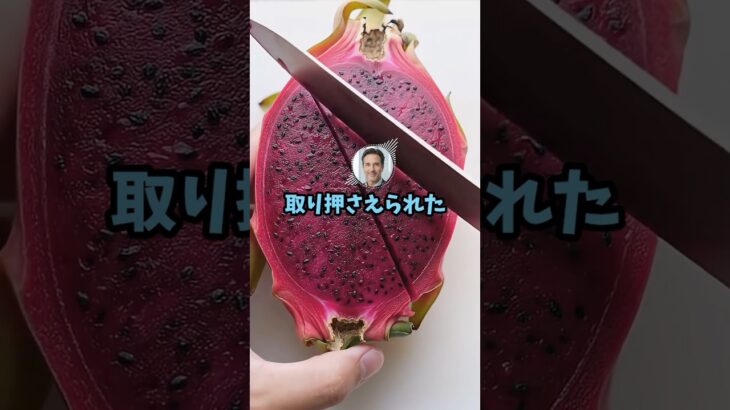 【悲報】税金滞納ワイ、差し押さえに来た税務署相手に抵抗した結果……#shorts