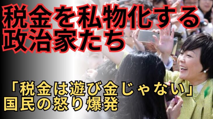税金を私物化する政治家たち