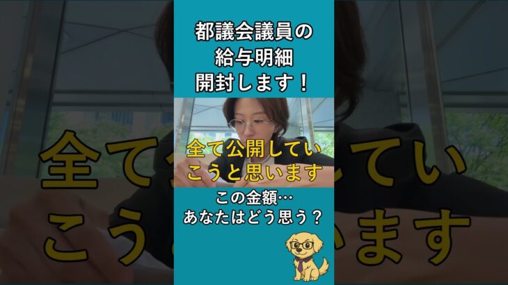 【税金】実際の明細はこちら！都議の給料っていくらだと思う？