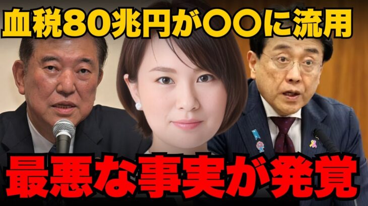 ※拡散してください。国民の税金がとんでもない事に使われてます【深田萌絵】