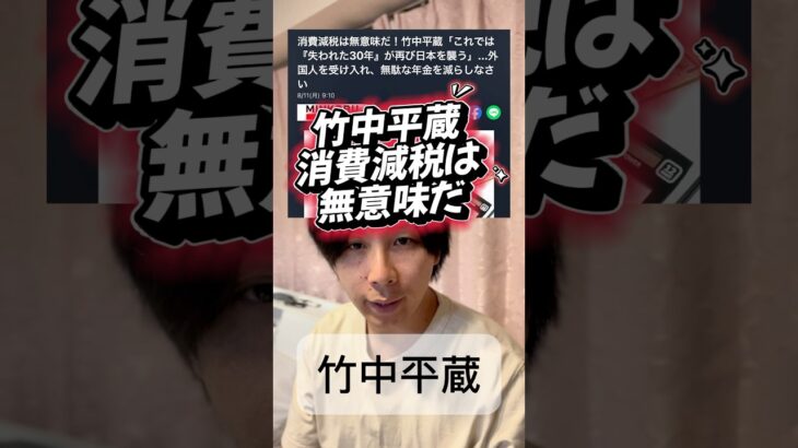 竹中平蔵 消費税減税は無意味だ