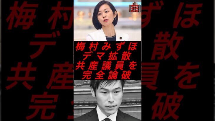 梅村みずほ、デマ拡散の共産議員を完全論破 #政治 #税金 #参政党 #梅村みずほ #共産党