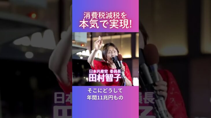 【日本共産党】消費税減税を本気で実現！一田村智子